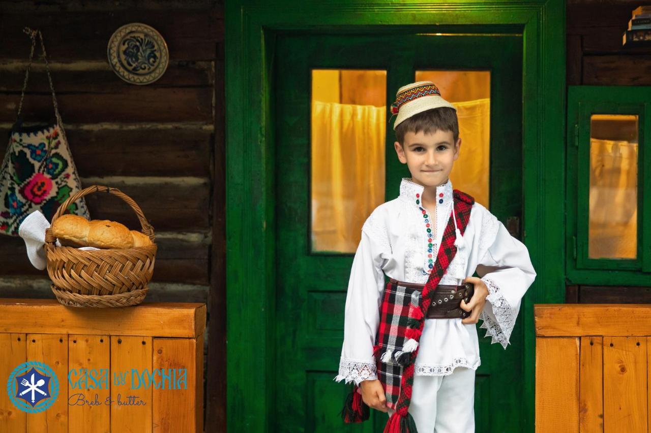 Вилла Casa Morosenilor - Breb Экстерьер фото